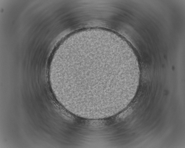 X0000067500832200604281540
