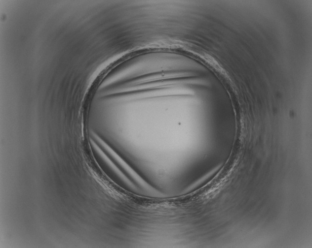 X0000067500838200604281540