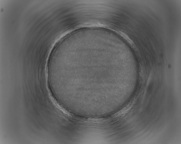 X0000067500840200604281541