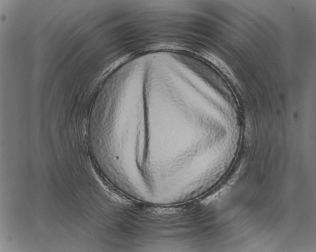 X0000067500849200604281541
