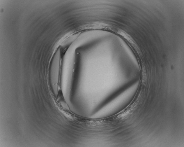 X0000067500850200604281541