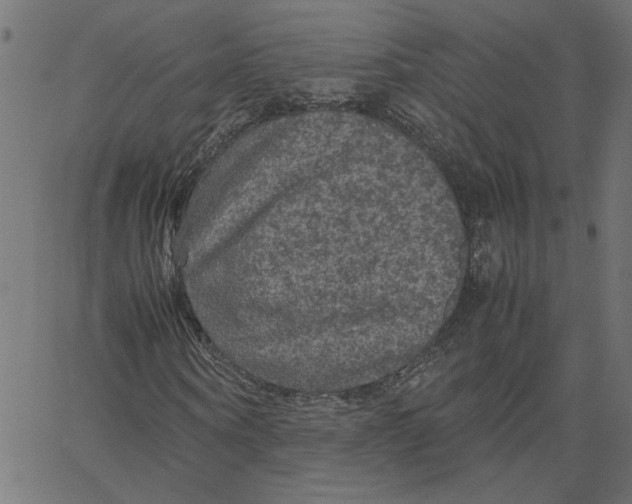 X0000067500866200604281540