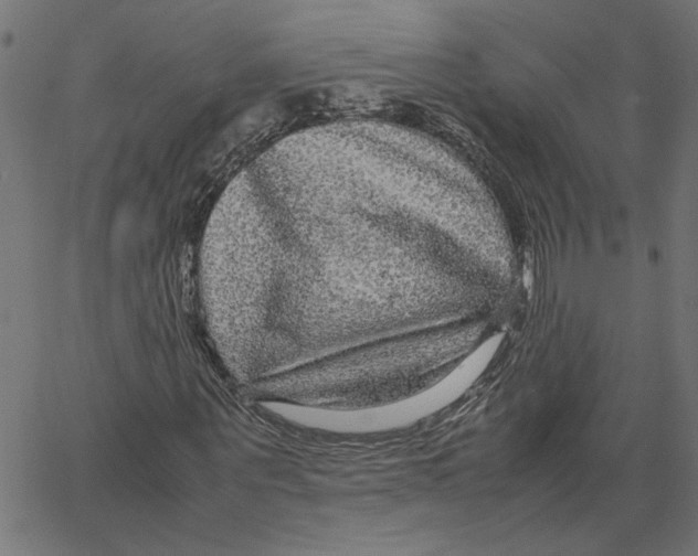 X0000067500867200604281540