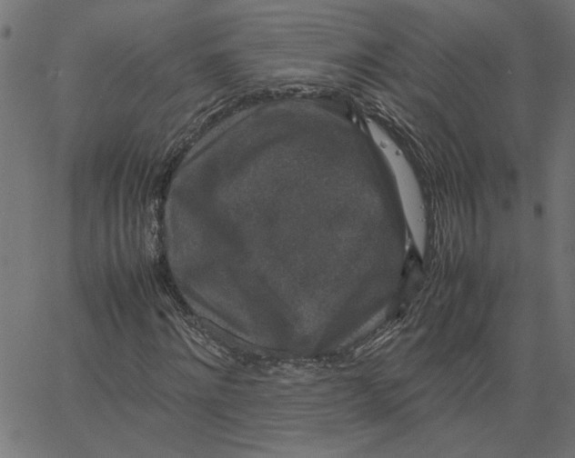 X0000067500868200604281540