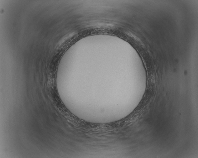 X0000067500869200604281540