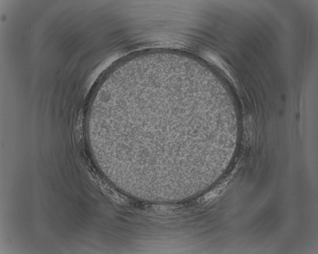 X0000067500875200604281540
