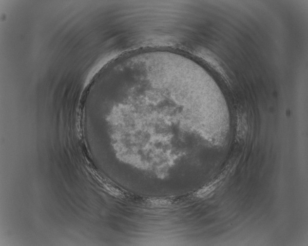 X0000067500878200604281540