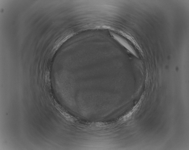 X0000067500881200604281540