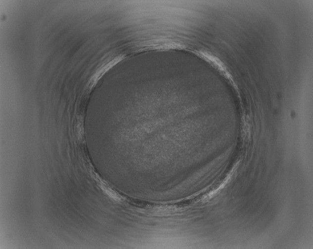 X0000067500889200604281540