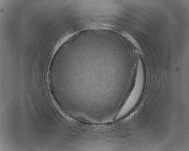 X0000067500893200604281540