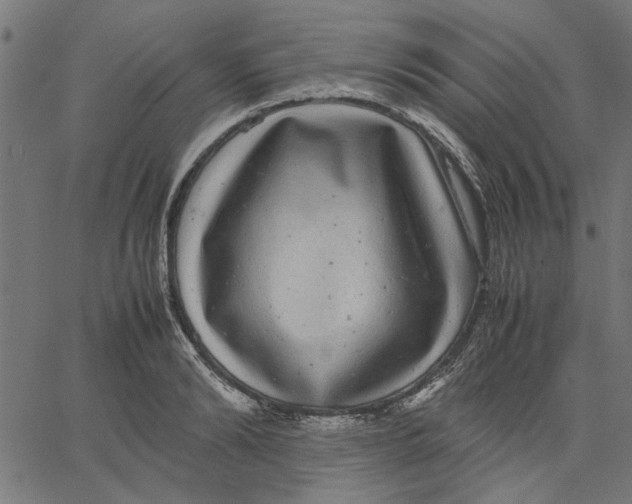 X0000067500894200604281540