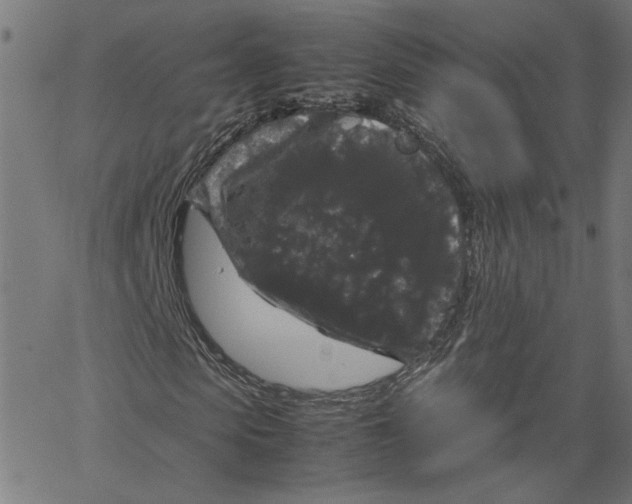 X0000067500913200604281539