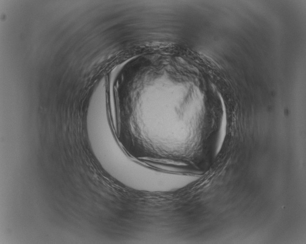 X0000067500917200604281539