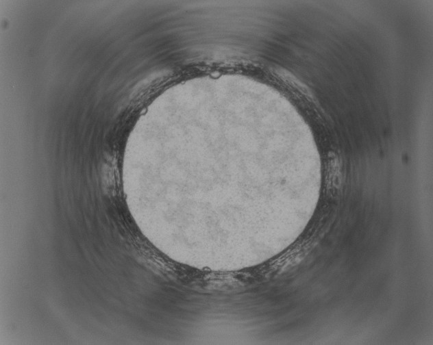 X0000067500918200604281539
