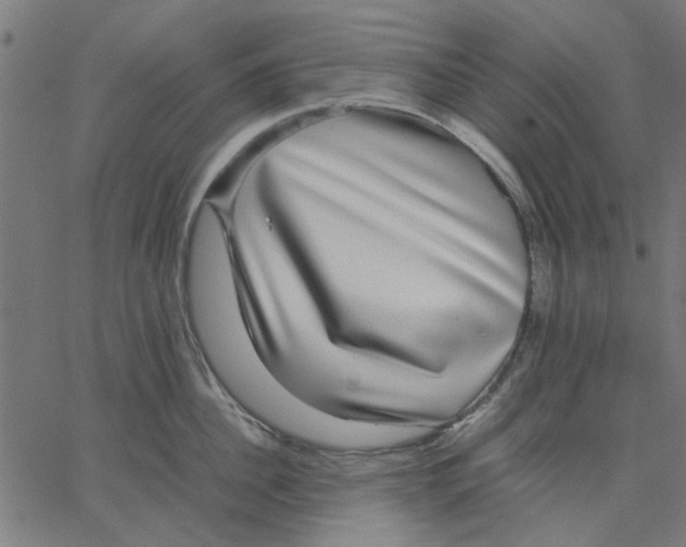 X0000067500956200604281539