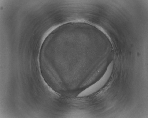 X0000067500959200604281539