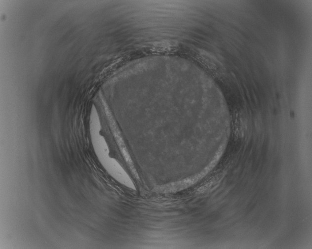 X0000067500962200604281539