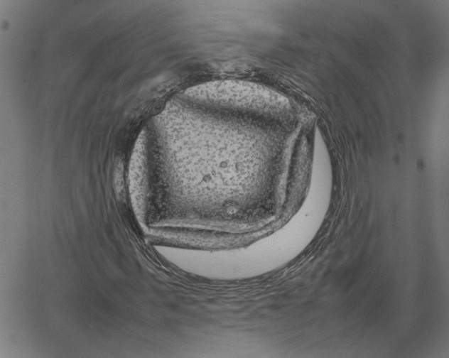 X0000067500963200604281539