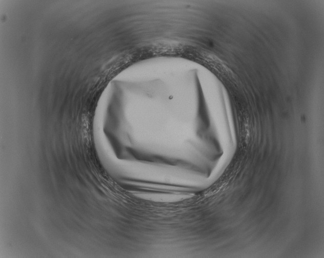 X0000067500964200604281539