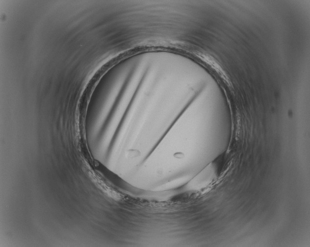 X0000067500976200604281538