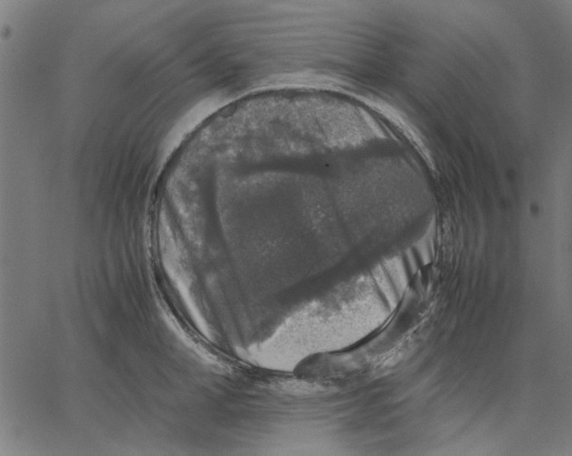 X0000067500998200604281538