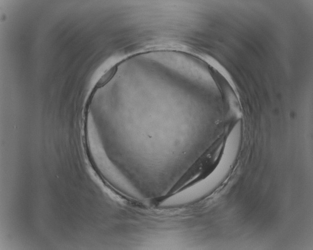 X0000067501005200604281538