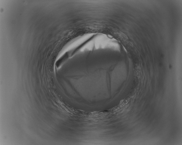 X0000067501009200604281537