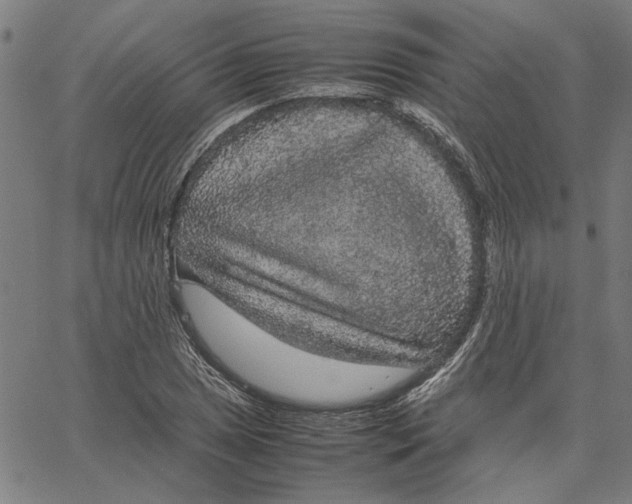 X0000067501025200604281537