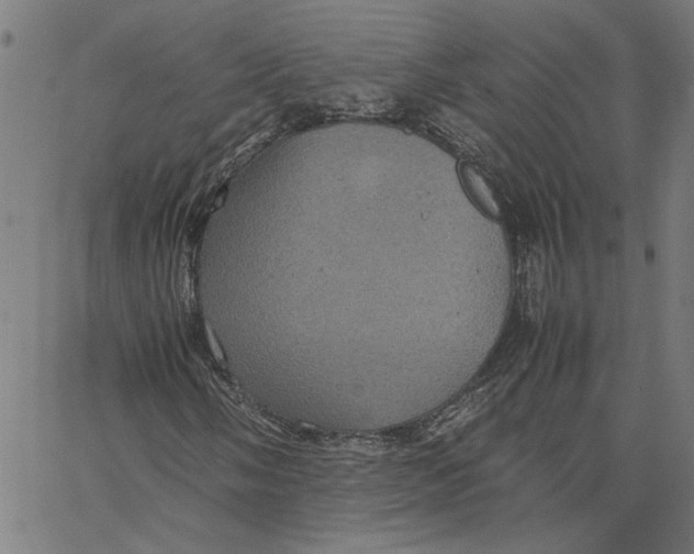 X0000067501058200604281537