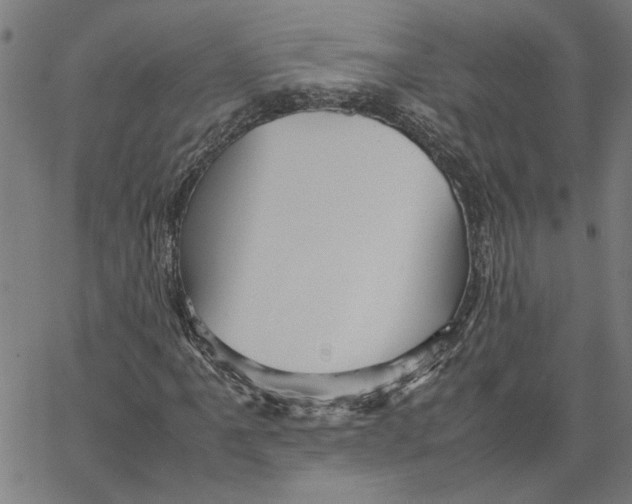 X0000067501061200604281537