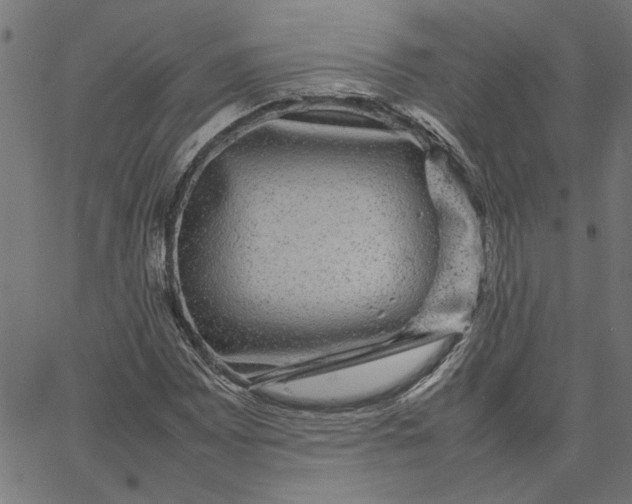 X0000067501065200604281537