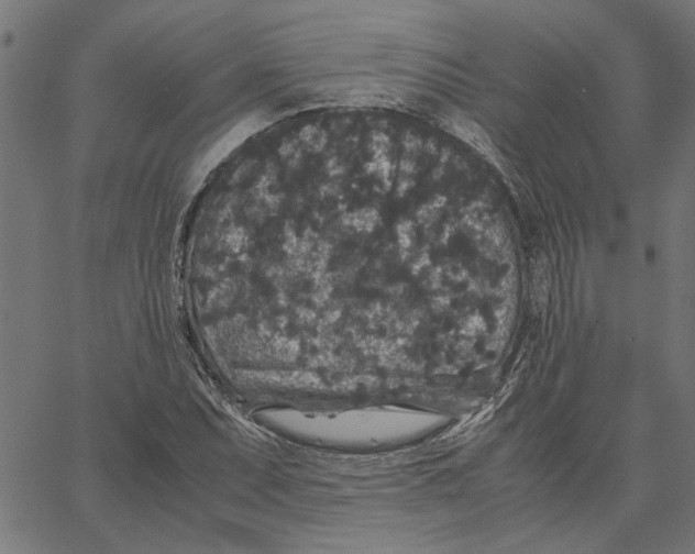 X0000067501071200604281537