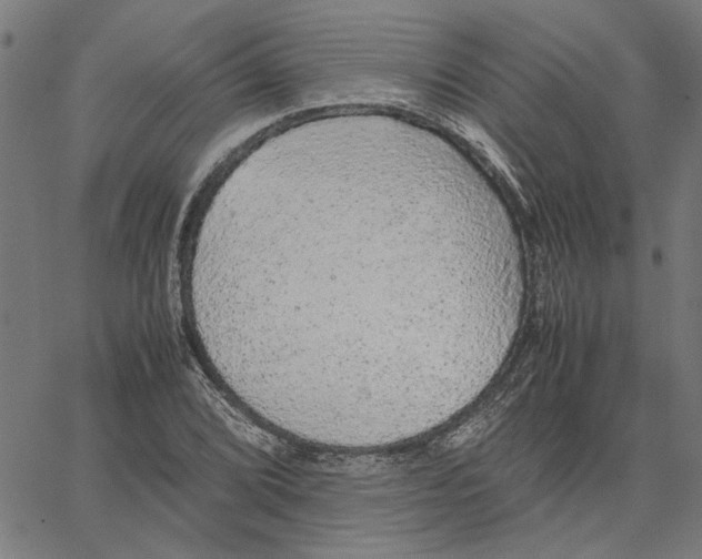 X0000067501072200604281537