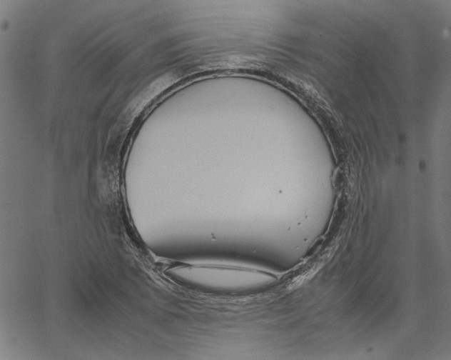 X0000067501073200604281537