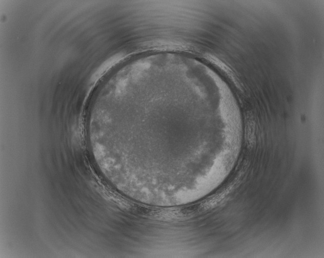 X0000067501074200604281537
