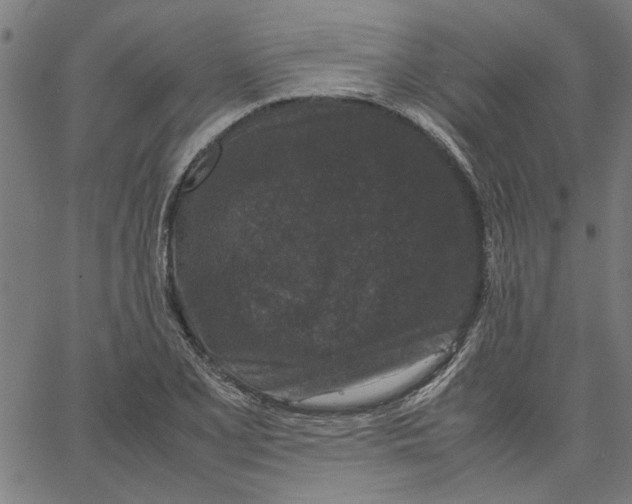 X0000067501077200604281537