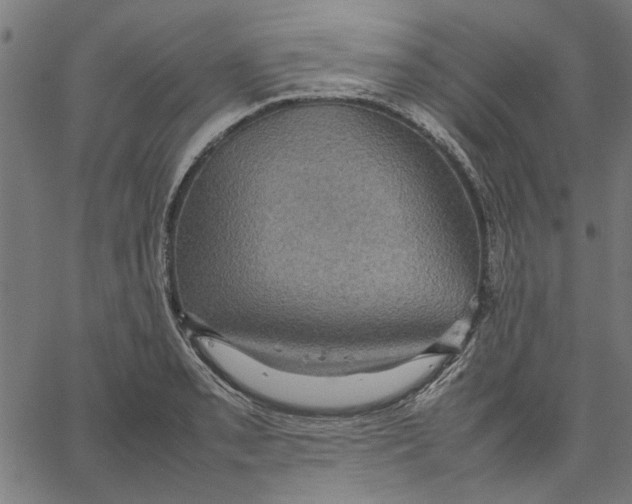 X0000067501085200604281536