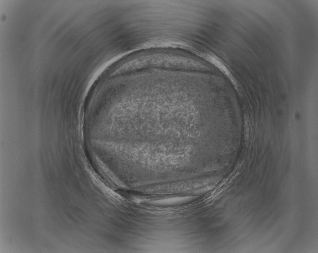 X0000067501124200604281536