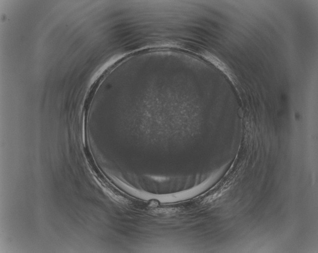 X0000067501127200604281536