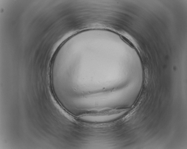 X0000067501142200604281536