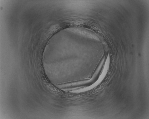 X0000067501153200604281535