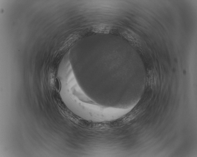X0000067501154200604281535
