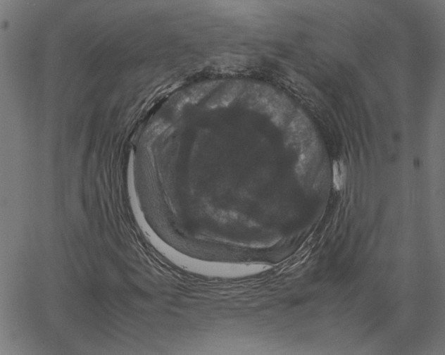 X0000067501155200604281535