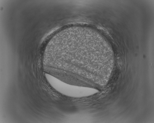 X0000067501159200604281535