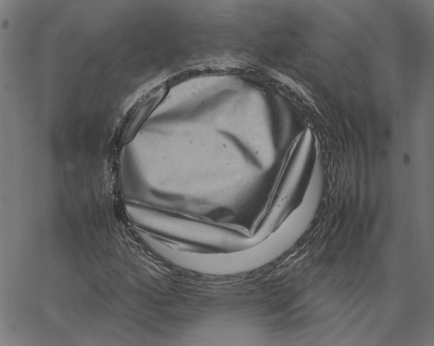 X0000067501160200604281535