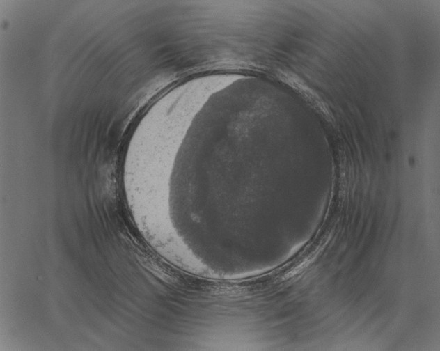 X0000067501170200604281535