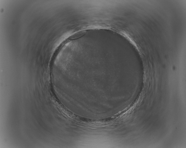 X0000067501173200604281535