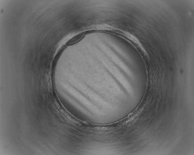 X0000067501176200604281535