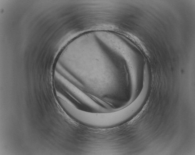 X0000067501184200604281535