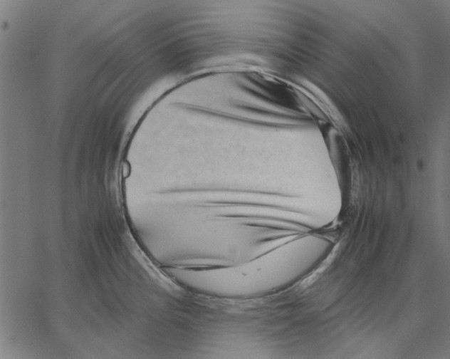 X0000067501196200604281535